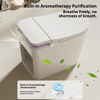 Vente directe usine : WC intelligent avec siège chauffant, chasse d'eau automatique, bidet, fonction lavage-séchage et désodorisant, siphon en S pour salles de bain modernes