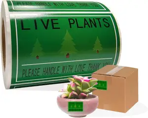 Hot Sale High Quality Adhesive Live Plant Stickers Shipping Moving Plants for Delivery Handle with Love Tag