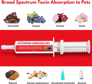 <span class=keywords><strong>Charbon</strong></span> <span class=keywords><strong>Actif</strong></span> OEM pour Chiens et Chats – Soutien Digestif, Anti-Gaz et Hépatique – Sans OGM, Sans Gluten - Product Image 4