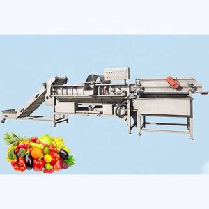 Ligne de lavage et de traitement entièrement automatique pour légumes à feuilles et asperges / Ligne de production de lavage de fruits - Product Image 3