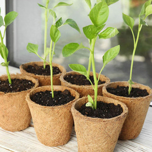 <span class=keywords><strong>Pots</strong></span> de fleurs en pulpe de papier biodégradable <span class=keywords><strong>pour</strong></span> <span class=keywords><strong>semis</strong></span>, <span class=keywords><strong>pots</strong></span> en papier, <span class=keywords><strong>pots</strong></span> en <span class=keywords><strong>tourbe</strong></span> <span class=keywords><strong>pour</strong></span> légumes et fleurs - Product Image 2