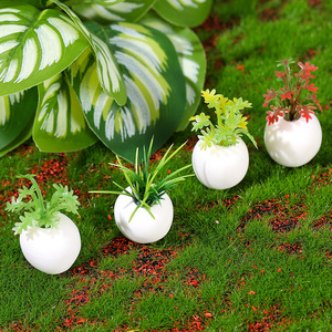 Mini pots de plantes succulentes simulées en résine, accessoires pour maison de poupée, ornements de paysage pour décoration de mini-jardin - Product Image 1