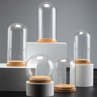 Glazen koepelvormige display met kurken deksels, decoratieve cloche, belvormige glazen stolp, planten specimen, knutselwerk, Pasen, eeuwige bloem, LED verlichte afdekking