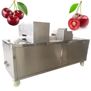 Máquina para quitar semillas de ciruela, deshuesadora pelador y máquina de lichi, máquina deshuesadora Longan para deshuesar frutas pequeñas - Product Image 4
