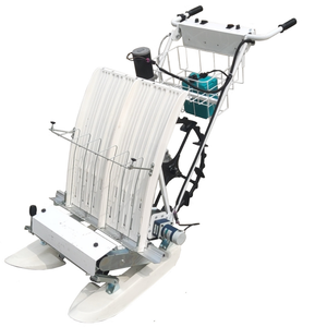 Transplanteur manuel de riz paddy, planteur mécanique en rangs pour les fermes pakistanaises - Product Image 1