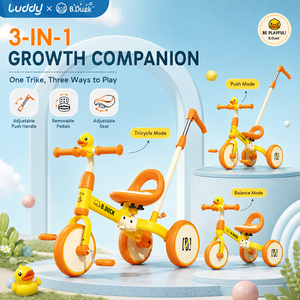 Tricycle pliable compact 2 en 1 Luddy pour tout-petits, poussette bébé, draisienne, poussette convertible pour les voyages en famille - Product Image 3