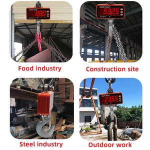 Cân Treo Kỹ Thuật Số Màn Hình LED Công Suất Tối Đa 1000Kg Chất Lượng Châu Âu Cân Cần Cẩu - Product Image 3