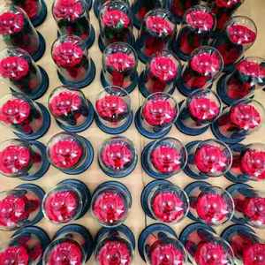 Diseños exquisitos más vendidos <span class=keywords><strong>Principito</strong></span> Tres flores preservadas Cúpula de cristal Rosa Regalo para expresar <span class=keywords><strong>amor</strong></span> - Product Image 5