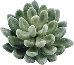 Real Touch Faux <span class=keywords><strong>Suculentas</strong></span> Artificial Echeveria <span class=keywords><strong>Suculentas</strong></span> Selecciones Cactus en verde flocado 3,33 "de ancho X 5" Plantas altas Cactus - Product Image 1