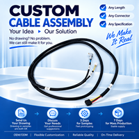Harnais de câblage multi-branche personnalisé OEM, assemblage de câbles USB Type C pour l'automatisation industrielle, équipement robotique