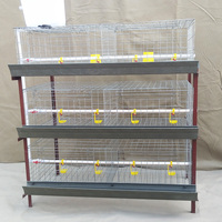 Cages de ponte automatiques pour poulets de chair 3 niveaux 4 niveaux 60/80 oiseaux Type H Batterie galvanisée à chaud Cage pour poulets de chair pour l'élevage de volailles