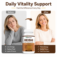 Capsules de champignons Reishi, soutien immunitaire, vitalité, complément de bien-être, marque privée, OEM, ODM, fournisseur direct d'usine, vente en gros