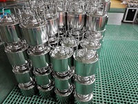 Fût à bière en acier inoxydable 304 de 6 L avec raccord de type Cornelius à verrouillage à bille et fût à vin/soda avec poignées métalliques