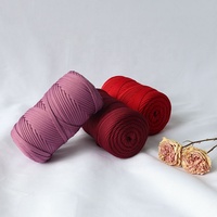 Wholesale Customized Crochet Flat Belt Yarn Rope 100% Polyester Hollow Strand Yarn for Knitting and Weaving