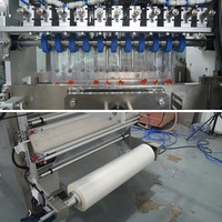 Machine d'emballage automatique multi-voies pour sachets de concentré de tomate, purée, pâte, sauce et ketchup, certifiée CE