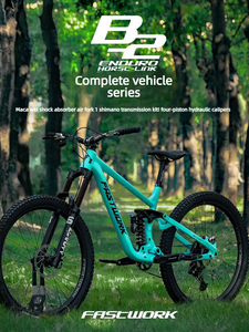 Bicicletta da Montagna FASTWORK B2 con Sospensione Posteriore Morbida, 11-12 Velocità, Lega di Alluminio, Freni Idraulici a Quattro Pistoni - Product Image 1