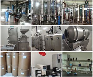 Mononucleótido de Nicotinamida (NMN) <span class=keywords><strong>en</strong></span> <span class=keywords><strong>Polvo</strong></span>, Certificado GMP, Suministro a Granel <span class=keywords><strong>para</strong></span> <span class=keywords><strong>el</strong></span> Cuidado de la Salud - Product Image 6