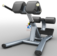 YG FITNESS YG-6035 Chaise Romaine Commerciale Robuste, Banc d'Hyperextension, Capacité 350KG pour Salle de Sport