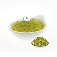 Extrait naturel pur de Sophora Japonica 98% poudre de quercétine supplément certifié HPLC de qualité alimentaire