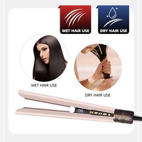 Fer à lisser électrique portable Multi Styler 2 en 1 avec flux d'air humide à sec fer plat Styler à air chaud