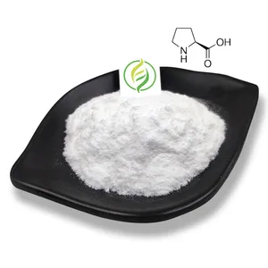 Factory Supply High Quality Amino Acid L-Proline Powder Proline