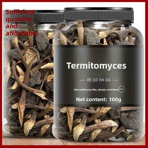 Funghi Termitomyces Selvatici Essiccati di Alta Qualità 100g per Creazioni Culinarie - Product Image 6