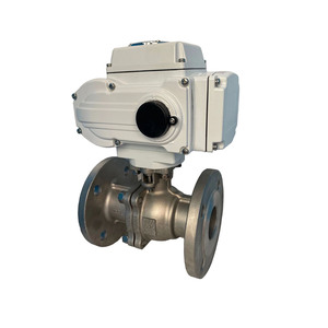 Motor de Bolas de Acero Inoxidable con Brida AC220V - Product Image 6