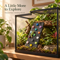 Planche d'escalade texturée pour reptiles en dalle de pierre avec poignées colorées pour la décoration d'habitats de lézards, accessoires pour terrariums de reptiles