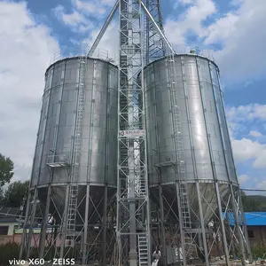 Silos à service unique Silo de stockage de blé de maïs galvanisé de 1000 tonnes pour le silo de farine de maïs et de soja