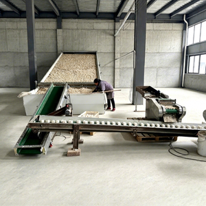 Secador de cinta continua de malla con aire caliente para el procesamiento de deshidratación de materia prima agrícola a granel - Product Image 1