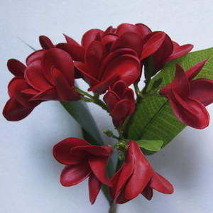 <span class=keywords><strong>PU</strong></span> gerçek dokunmatik yapay <span class=keywords><strong>Plumeria</strong></span> çiçek noel mezuniyet cadılar bayramı yeni yıl paskalya anneler günü çin yeni yıl bez - Product Image 5