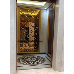 Ascensore elettrico per passeggeri da 450kg per Villa da 630kg con ascensore automatico per porte scorrevoli con apertura centrale - Product Image 1