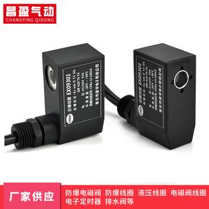 Bobina Electromagnética a Prueba de Explosiones Changying Qidong EX09301 AC220V DC24V para Uso Industrial - Product Image 5