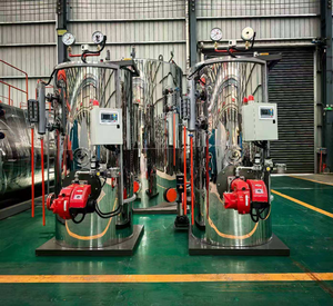 Chaudière verticale à tubes de fumée automatique de type industriel à combustion, 0,7 MPa, 0,5 t/h, utilisée pour les centrales électriques - Product Image 4