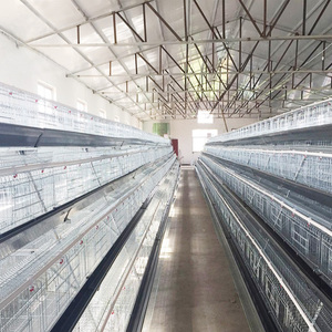 กรงไก่ชั้นอุปกรณ์ในฟาร์มสัตว์ปีกอัตโนมัติสภาพใหม่ - Product Image 2