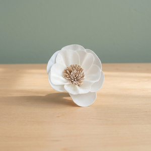 Eco-Friendly White 8 cm Sola Wood <b>Reed</b> <b>Diffuser</b> Inspired Thailand Home Decorative Flowers Plants Indoor Weddings Gifts - Product Image 2