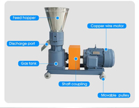 Machine à granulés d'aliments pour poissons, granulateur d'aliments pour animaux, machine à fabriquer des granulés de feuilles