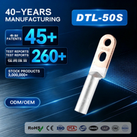 Connecteur de borne à deux trous longs non isolé en cuivre-aluminium bimétallique DTL-50S pour l'automobile et la terminaison de câbles