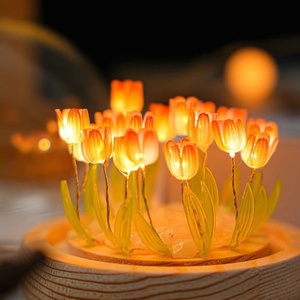 2025 Hot Sale DIY <strong>Tulip</strong> Glass <strong>Table</strong> Lamp Night Light Birthday Christmas Gifts Crystal Ball Flower <strong>Tulips</strong> LED - Product Image 2
