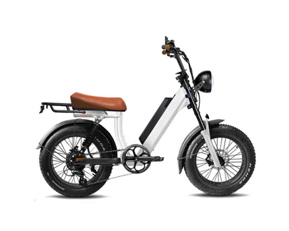 Nouvelle moto 48V 500W e-bike fat tire vélo cargo électrique express avec deux sièges