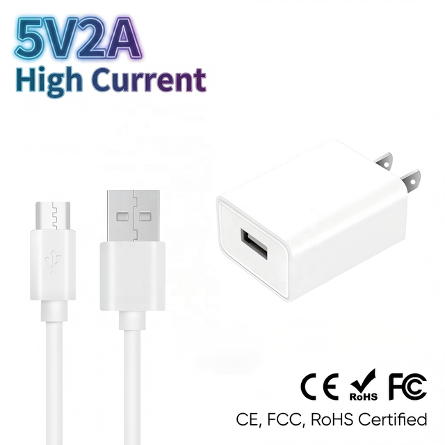 Phone Charger Fast 5V 2A Single USB Port Wall Plug 100-240V Global Voltage Travel Adapter