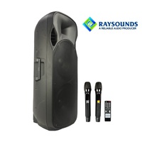 Enceinte trolley rechargeable double 15 pouces 200W avec égaliseur 5 bandes, entrée externe 12V DC, radio FM et haut-parleur de basses robuste