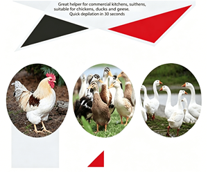 Plumeuse à poulet automatique multifonctionnelle professionnelle pour usage domestique - Product Image 5