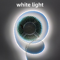 Bande LED 2835 de 10 m, 12 V, 120 LED/m, haute luminosité, 8 mm, flexible, pour cuisine, armoire, miroir, placard