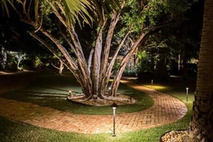 Éclairage paysager en laiton de haute qualité 12 volts 6 pouces, éclairage LED extérieur pour jardin, lumières de chemin pour allée et paysage - Product Image 5