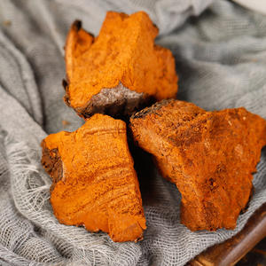 بالجملة بيع بالجملة عضوي الفيرخ عيش الغراب الطازج شاجا فطر مجفف تشاجا مستخرج - Product Image 5