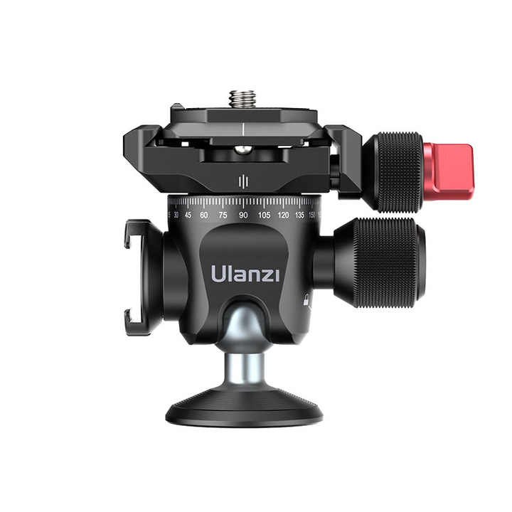 3.28撮影オンファロデス現物3苗抜き苗らくらくメルカリ便