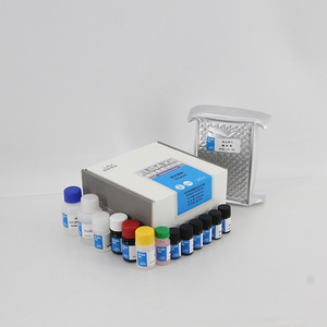 (Sữa kiểm tra không phải con người) Axit folic (vitamin B9) Elisa <span class=keywords><strong>Kit</strong></span> kiểm tra cho sữa mẫu - Product Image 2