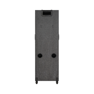 NDR-M1104 Enceinte de fête professionnelle en bois double 10 pouces pour DJ extérieur, karaoké, subwoofer à basses profondes avec micro sans fil - Product Image 4