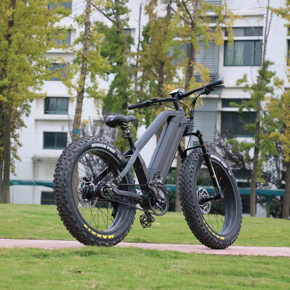 Moteur de vélo électrique Bafang Ultra 2021, nouveauté
